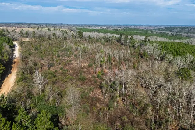 a view of a yard with an outdoor space