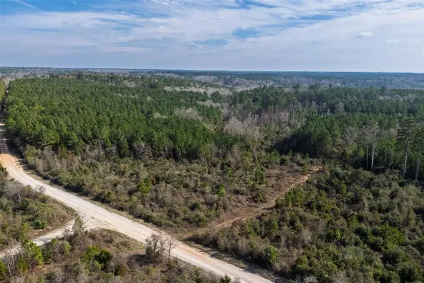 a view of a city with lush green forest