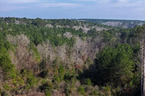 a view of a city with lush green forest