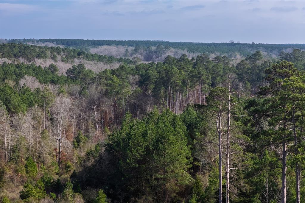 0 County Road 1247 Timpson, TX 75975 - Photo 16 of 26 a view of a city with lush green forest