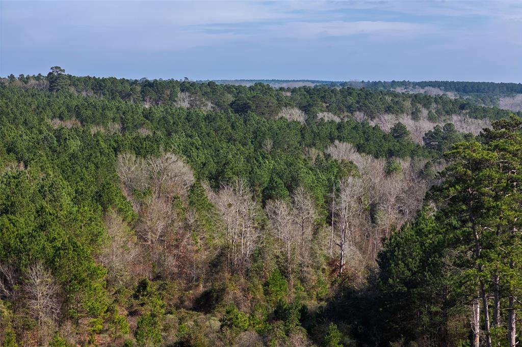 0 County Road 1247 Timpson, TX 75975 - Photo 17 of 26 a view of a city with lush green forest