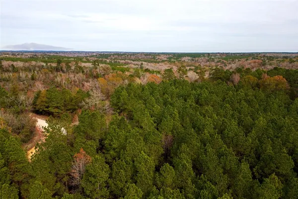 an aerial view of residential houses with outdoor space and trees