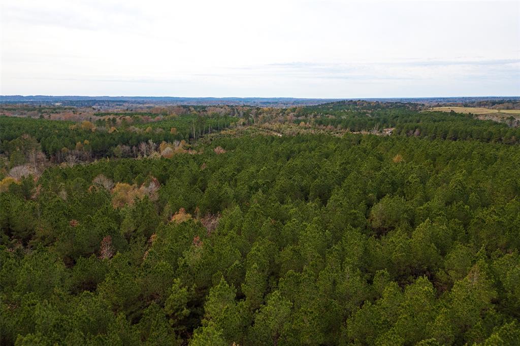 0 County Road 1247 Timpson, TX 75975 - Photo 19 of 26