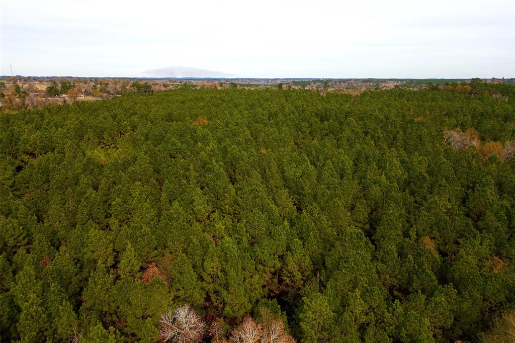 0 County Road 1247 Timpson, TX 75975 - Photo 21 of 26