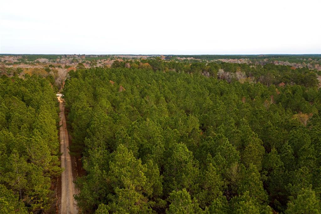 0 County Road 1247 Timpson, TX 75975 - Photo 22 of 26 a view of a city
