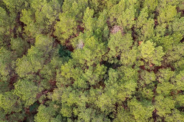 a view of a green field