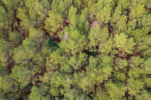a view of a green field