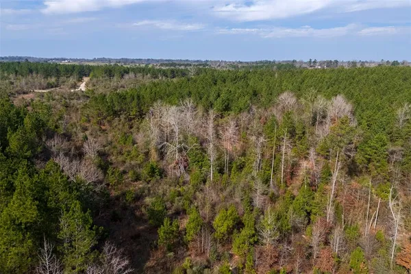 a view of a city and mountains