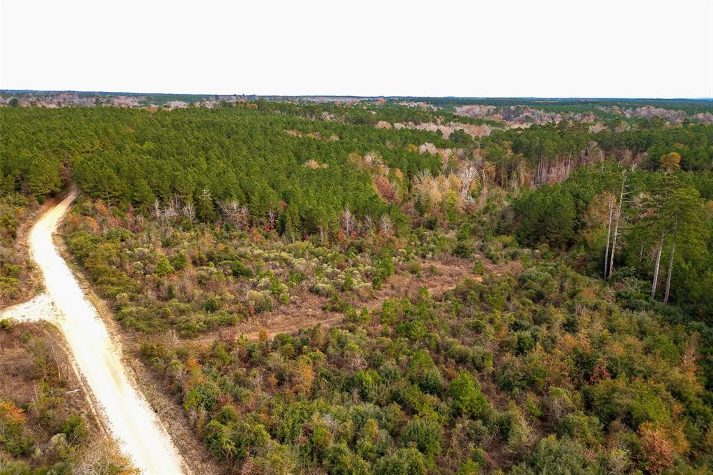 0 County Road 1247 Timpson, TX 75975 - Photo 4 of 26 a view of a city with lush green forest