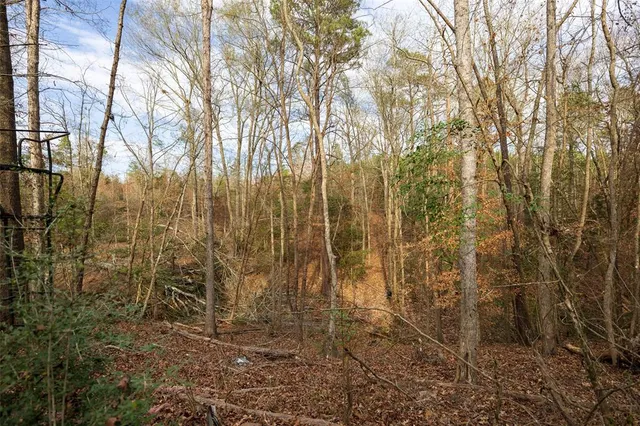 a view of a backyard of the house