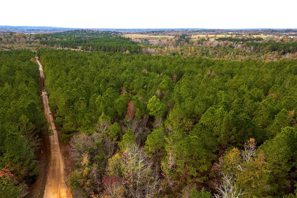 0 County Road 1247 Timpson, TX 75975 - Photo 10 of 26 a view of a city with lush green forest