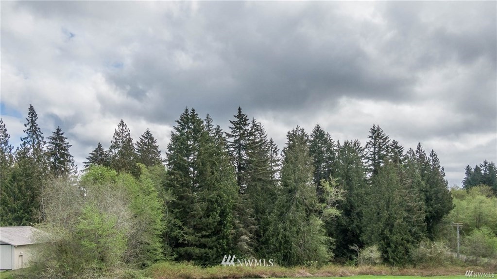 11080 Southwest Cove Road Vashon, WA 98070 - Photo 2 of 8 Gallery Image 2