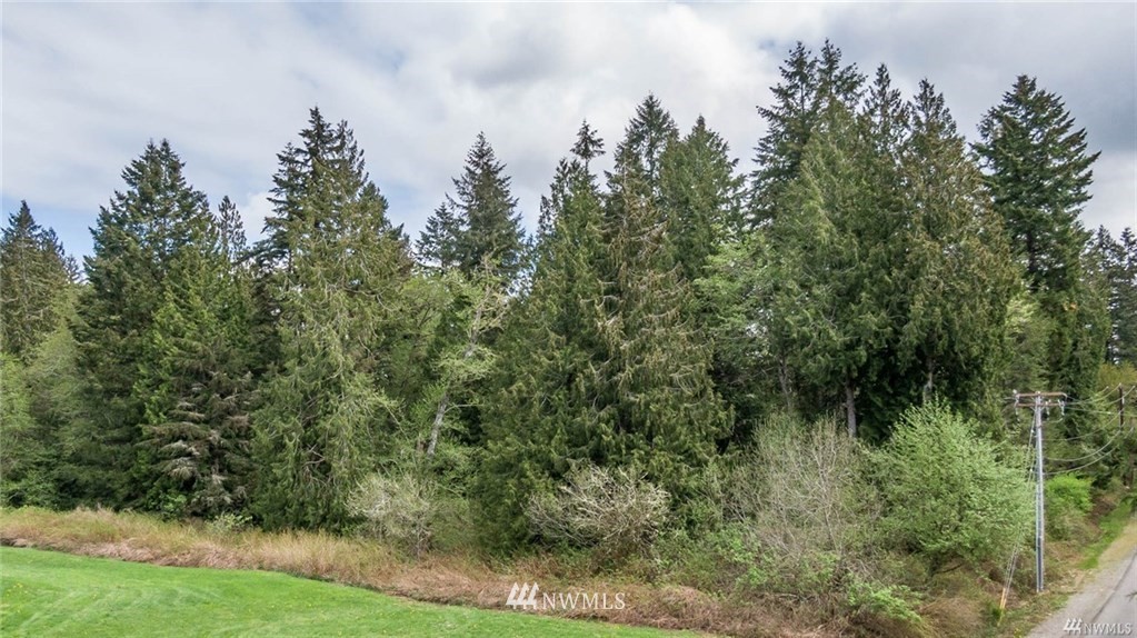 11080 Southwest Cove Road Vashon, WA 98070 - Photo 4 of 8 Gallery Image 4