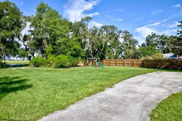 a view of a park with large trees