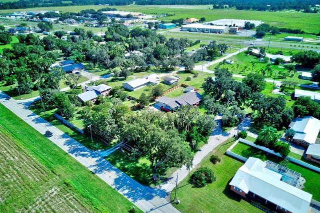 view of a garden with plants