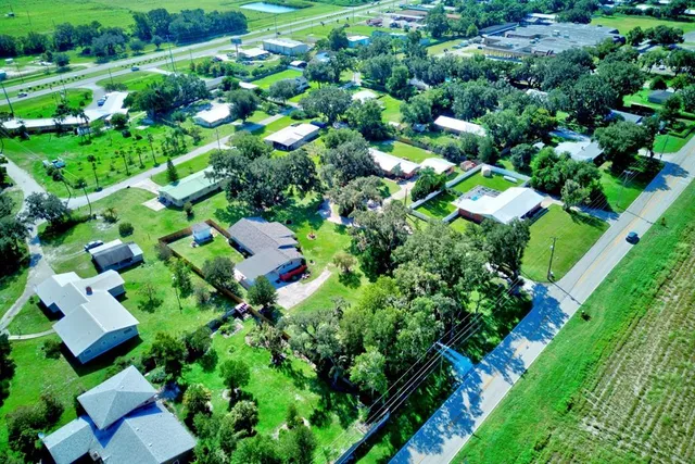 a view of a garden with a tree