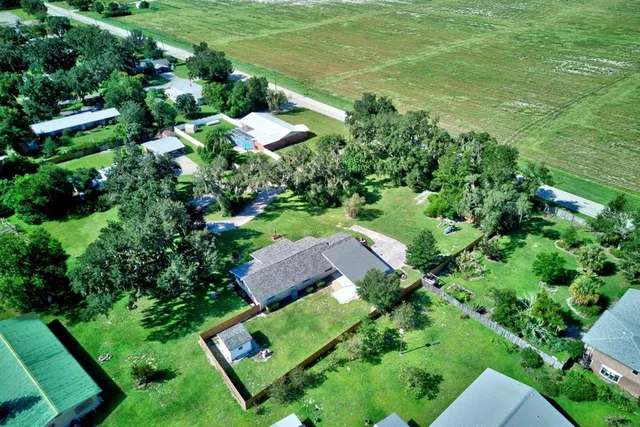 a view of a garden with plants