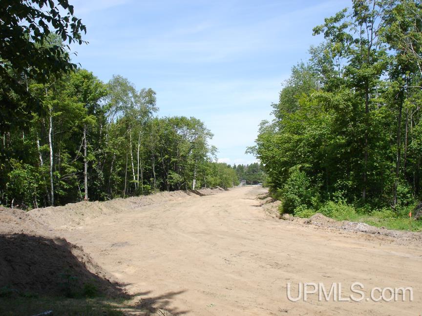 Tbd Northshore Bluffs Road, Unit 3 Manistique, MI 49854 - Photo 6 of 22