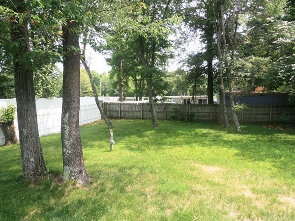 33 Groton Street Springfield, MA 01129 - Photo 6 of 18 a garden with trees in front of it