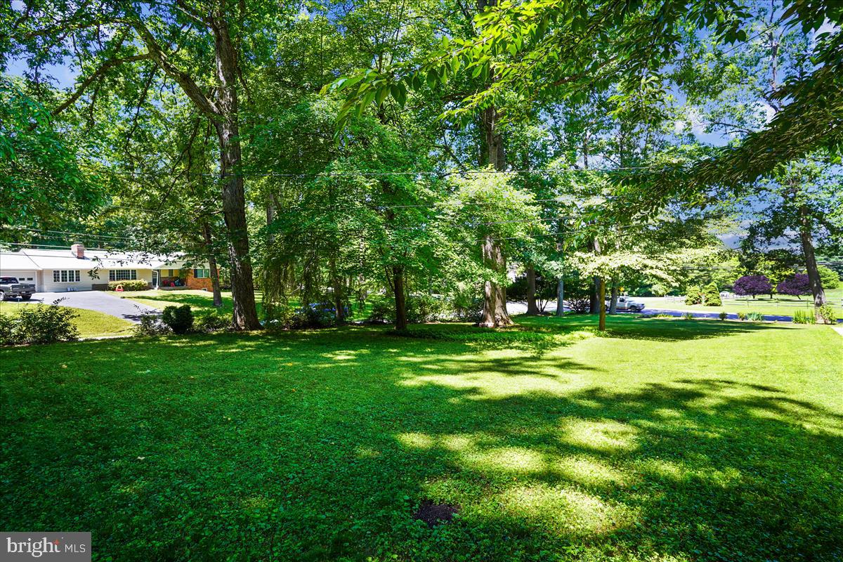 18901 Muncaster Road Derwood, MD 20855 - Photo 10 of 58 Front yard cluster of trees