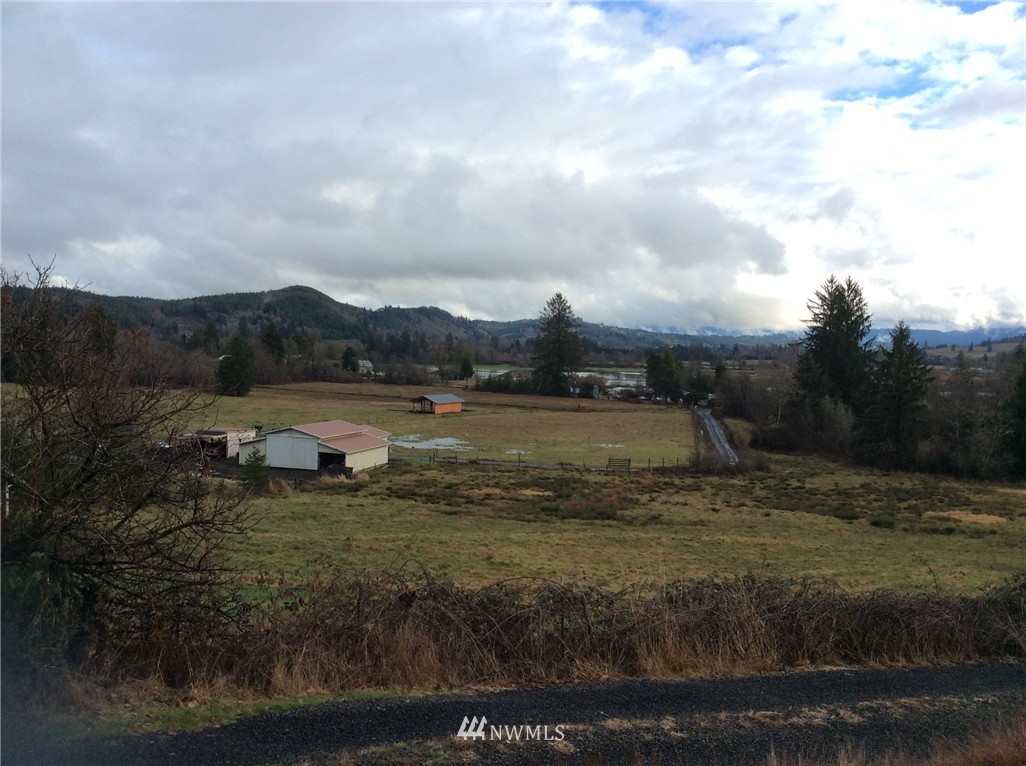 1301 Belmont Road Raymond, WA 98577 - Photo 4 of 23 Gallery Image 4