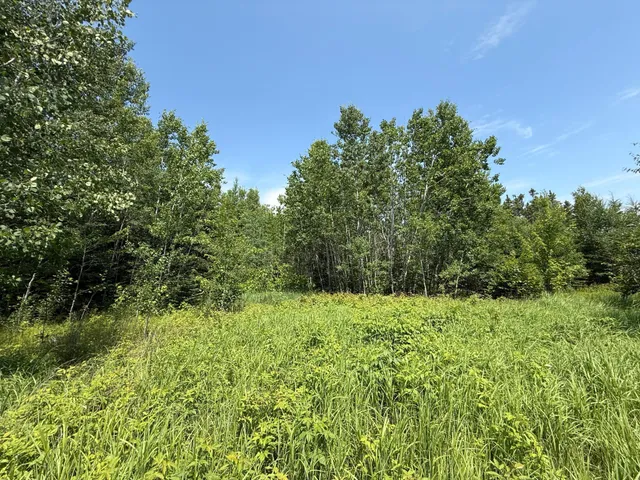 $37,000 | Tbd Tbd Arkola Road, Cotton, MN 55724