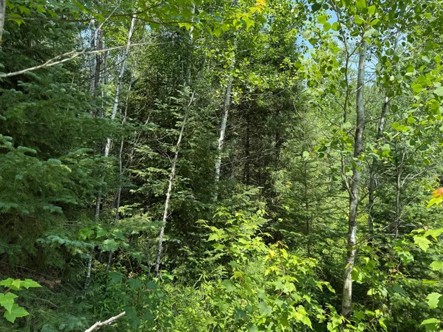 $37,000 | Tbd Tbd Arkola Road, Cotton, MN 55724