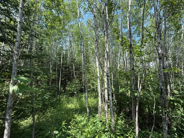 $37,000 | Tbd Tbd Arkola Road, Cotton, MN 55724