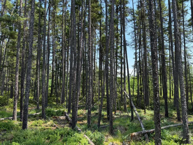 $37,000 | Tbd Tbd Arkola Road, Cotton, MN 55724