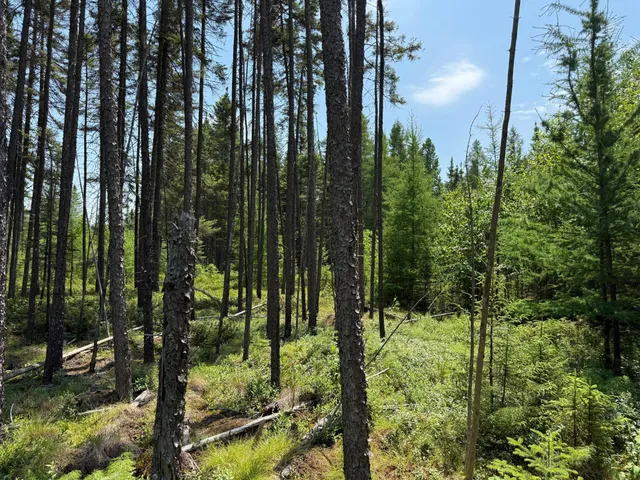 $37,000 | Tbd Tbd Arkola Road, Cotton, MN 55724