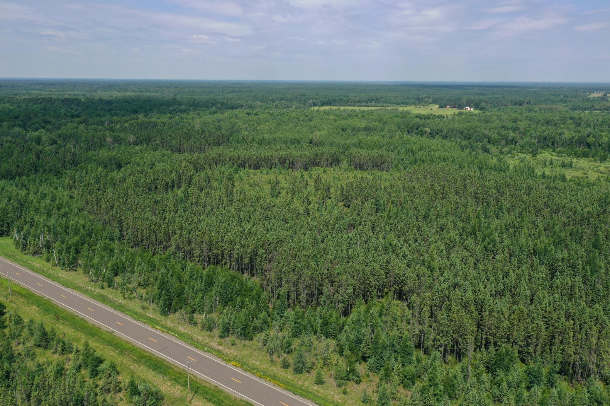 Tbd Tbd Arkola Road Cotton, MN 55724 - Photo 2 of 54