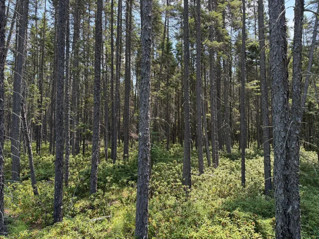 $37,000 | Tbd Tbd Arkola Road, Cotton, MN 55724