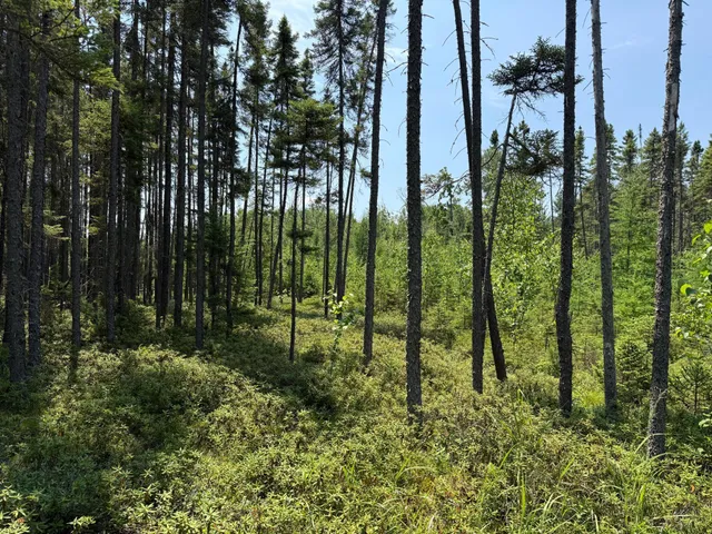 $37,000 | Tbd Tbd Arkola Road, Cotton, MN 55724