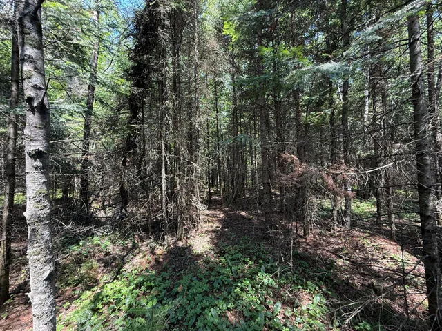 $37,000 | Tbd Tbd Arkola Road, Cotton, MN 55724