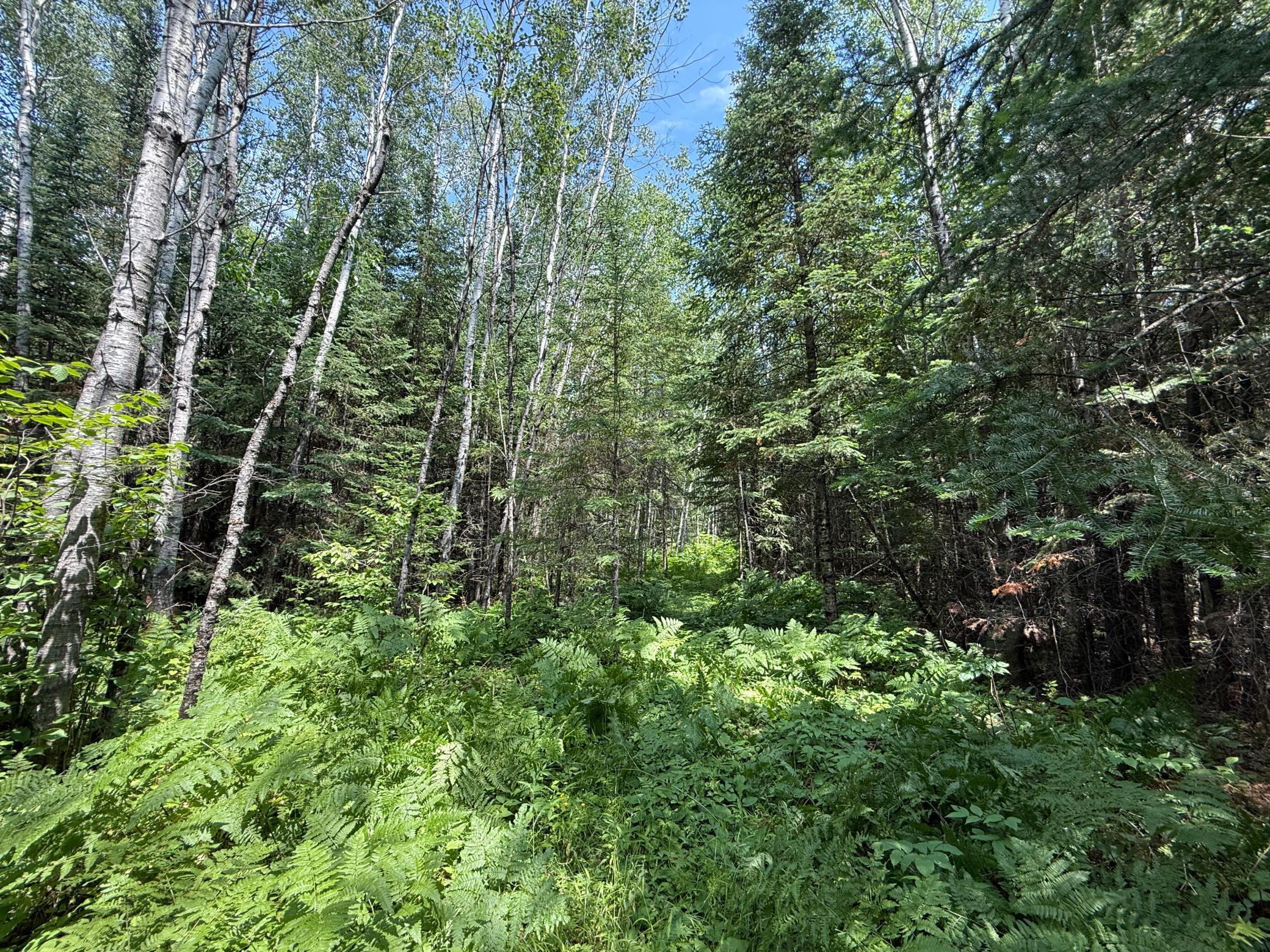Tbd Tbd Arkola Road Cotton, MN 55724 - Photo 27 of 54