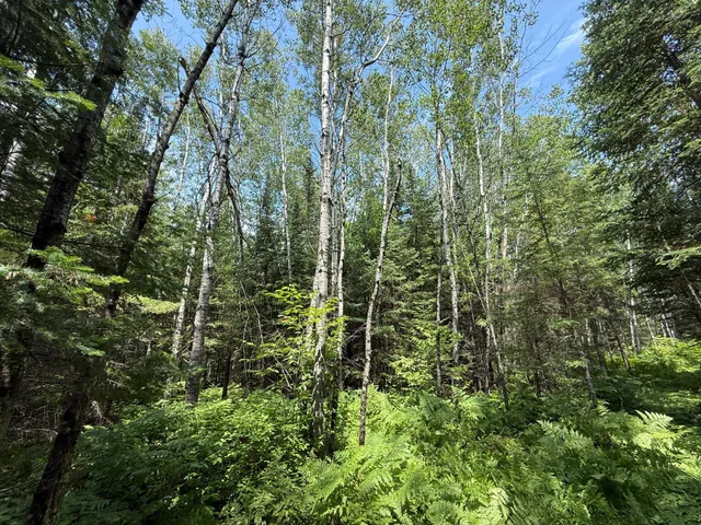 $37,000 | Tbd Tbd Arkola Road, Cotton, MN 55724