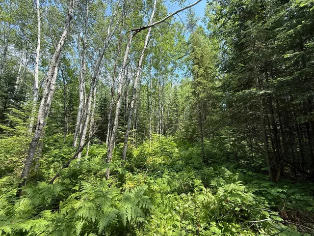 $37,000 | Tbd Tbd Arkola Road, Cotton, MN 55724