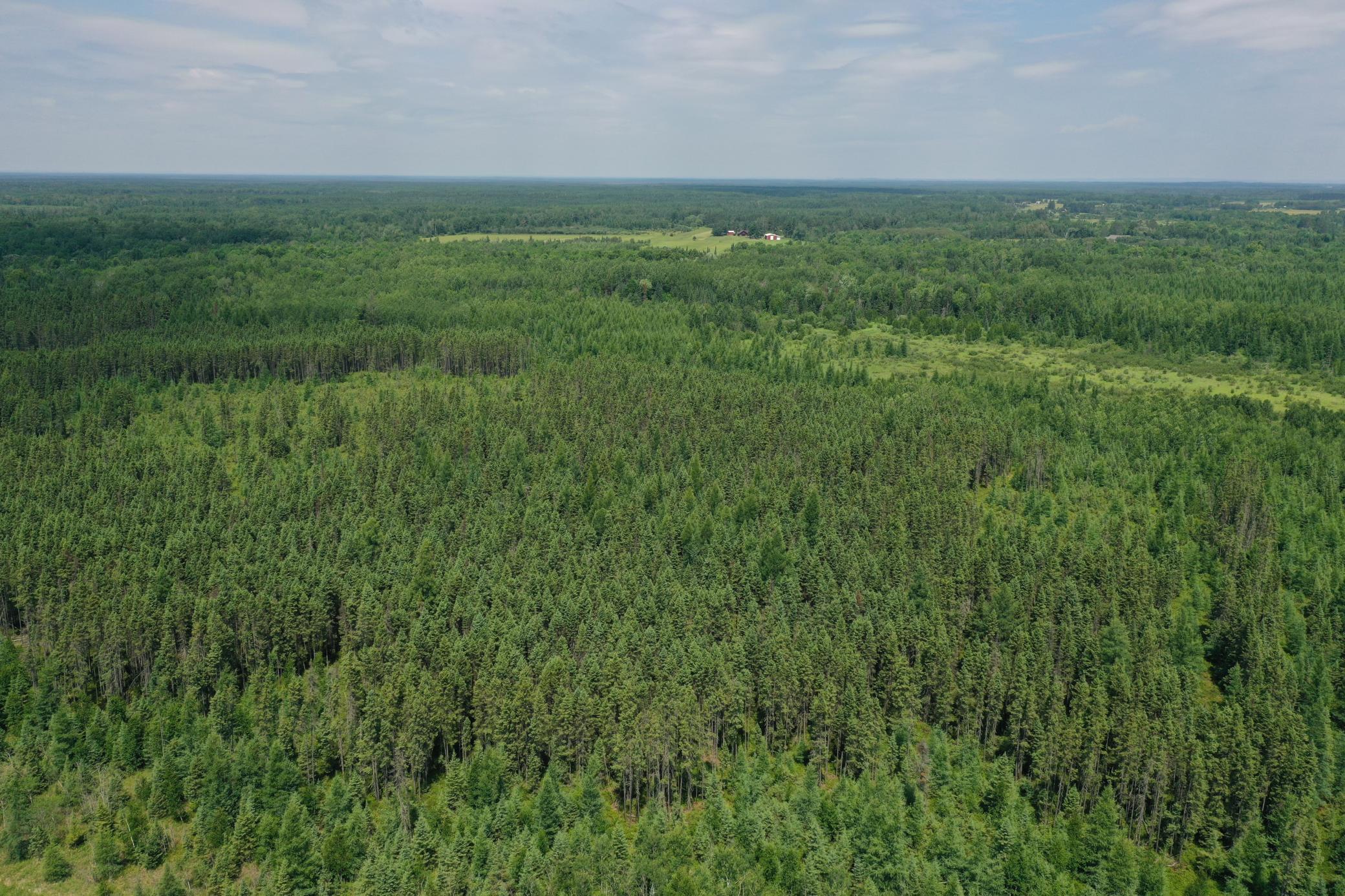 Tbd Tbd Arkola Road Cotton, MN 55724 - Photo 3 of 54