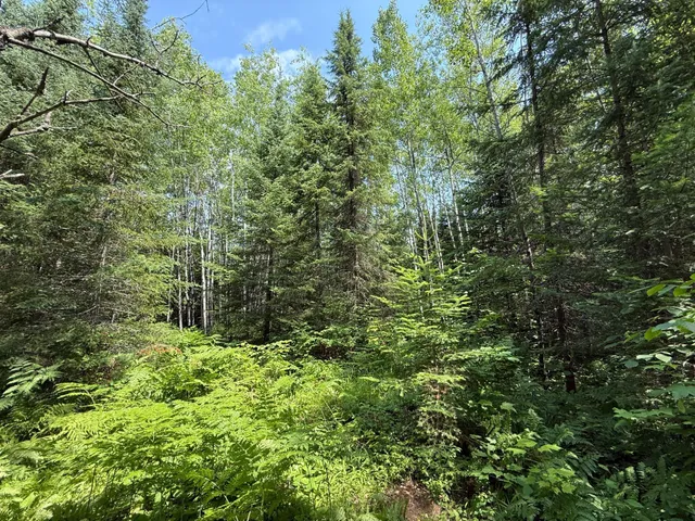 $37,000 | Tbd Tbd Arkola Road, Cotton, MN 55724