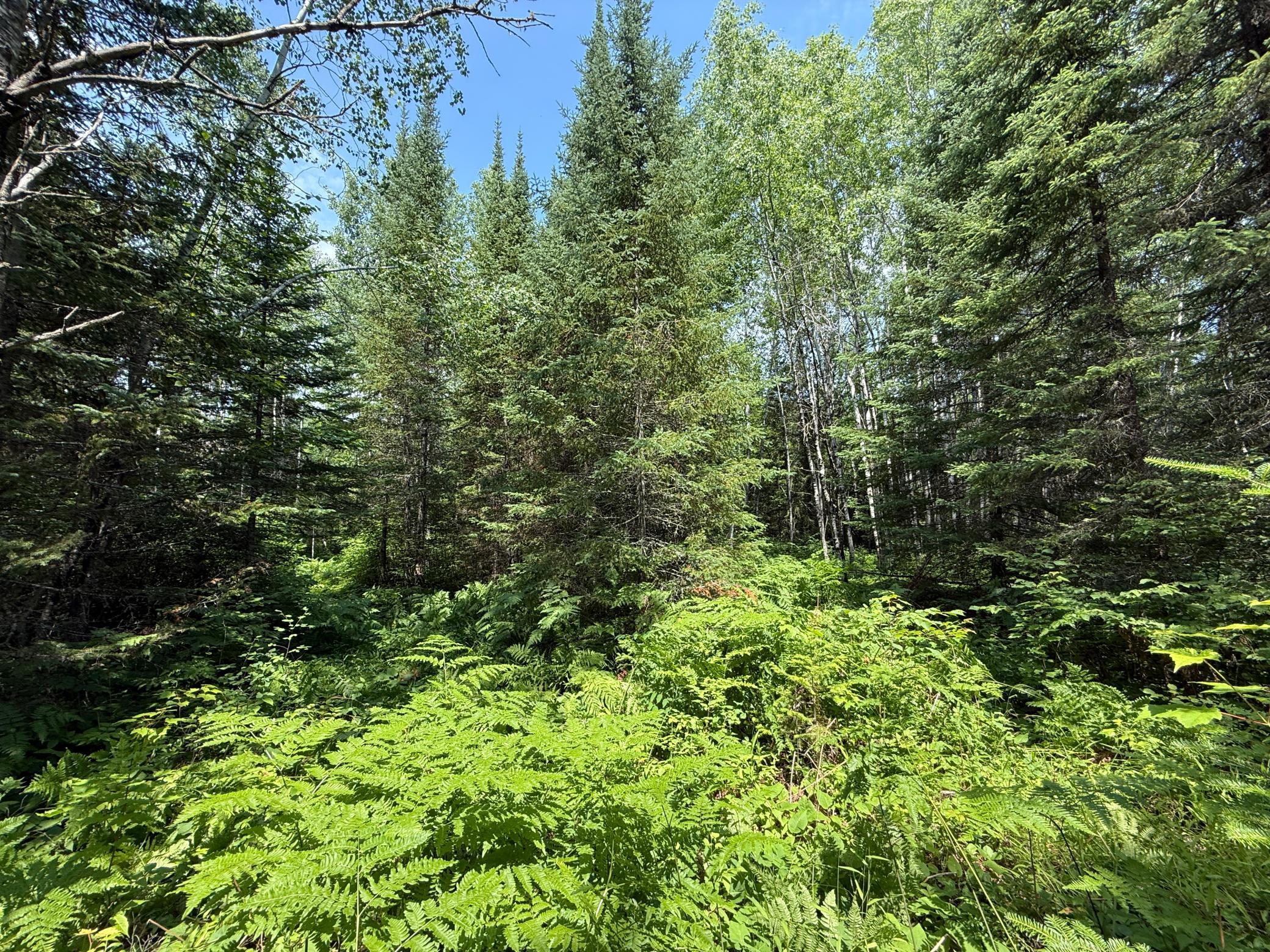Tbd Tbd Arkola Road Cotton, MN 55724 - Photo 32 of 54
