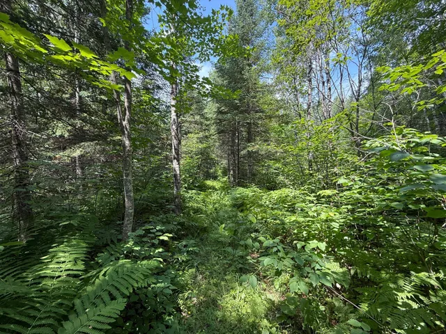 $37,000 | Tbd Tbd Arkola Road, Cotton, MN 55724