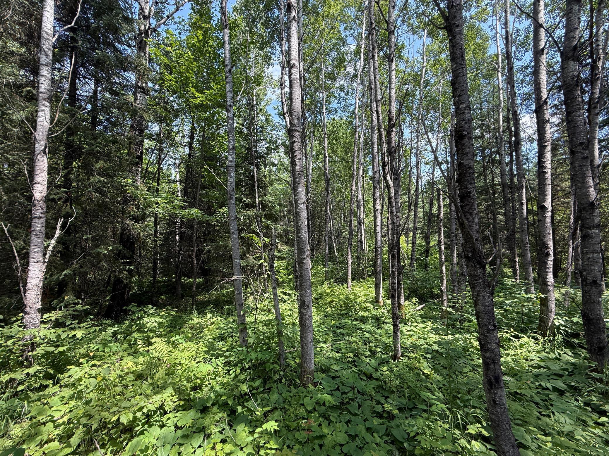 Tbd Tbd Arkola Road Cotton, MN 55724 - Photo 34 of 54