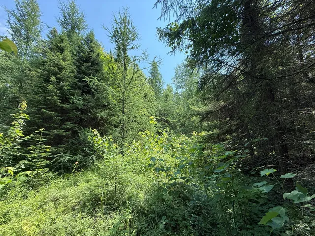 $37,000 | Tbd Tbd Arkola Road, Cotton, MN 55724