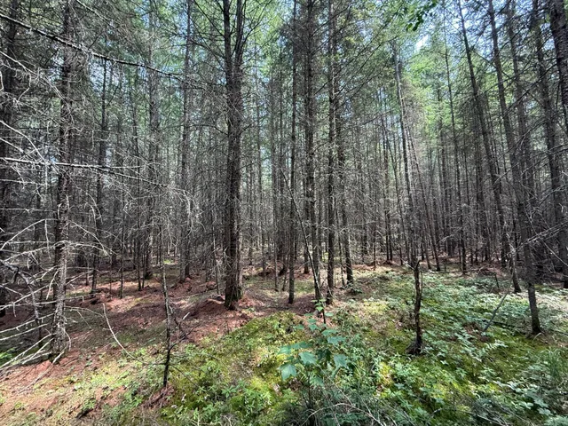 $37,000 | Tbd Tbd Arkola Road, Cotton, MN 55724