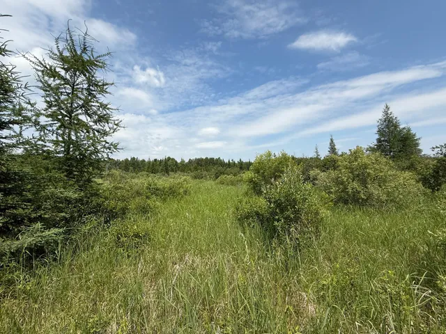 $37,000 | Tbd Tbd Arkola Road, Cotton, MN 55724