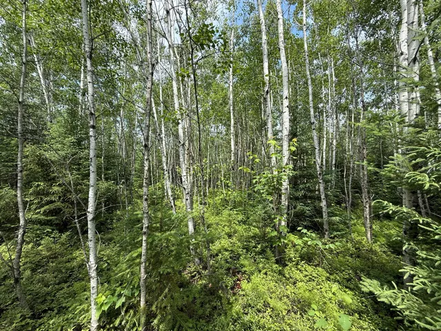 $37,000 | Tbd Tbd Arkola Road, Cotton, MN 55724