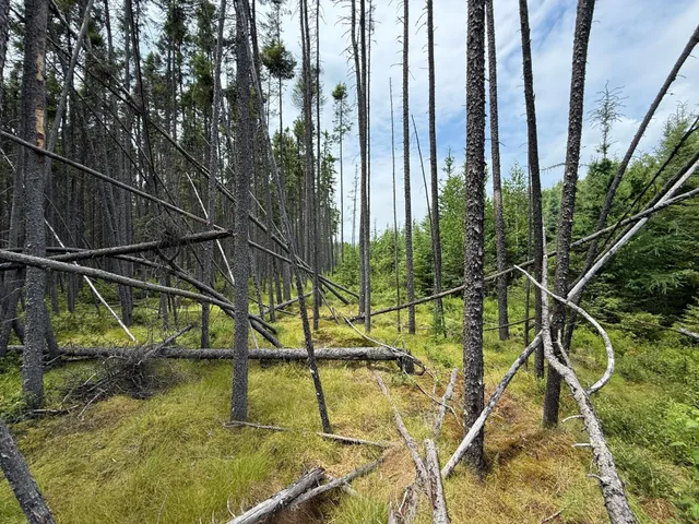 $37,000 | Tbd Tbd Arkola Road, Cotton, MN 55724