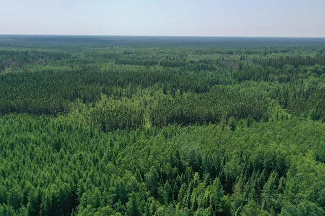 $37,000 | Tbd Tbd Arkola Road, Cotton, MN 55724