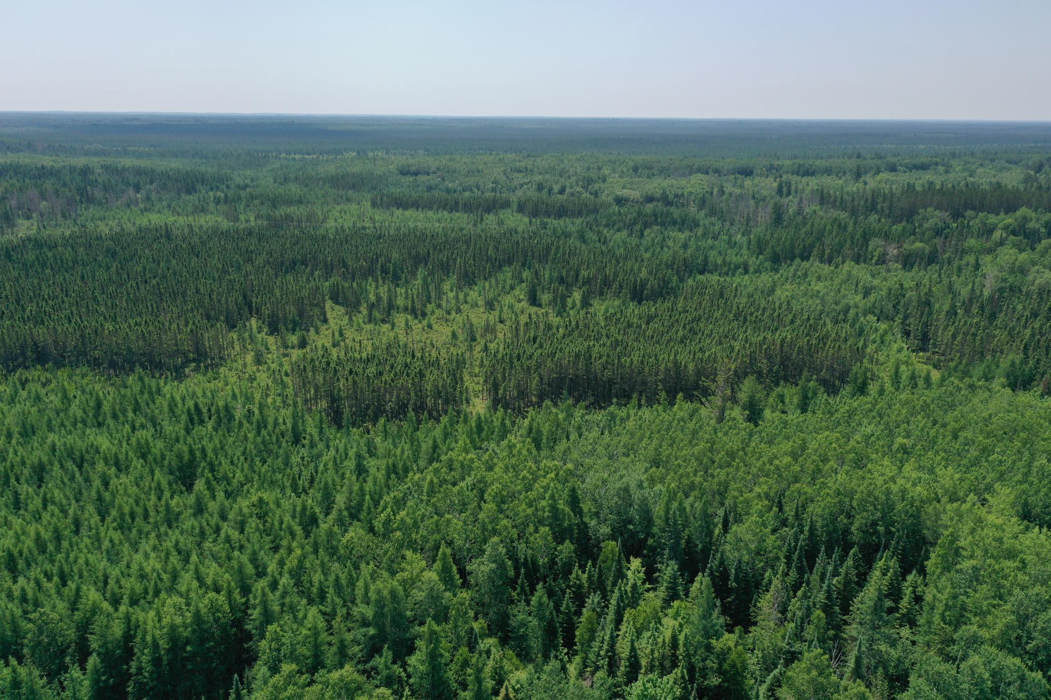 Tbd Tbd Arkola Road Cotton, MN 55724 - Photo 4 of 54