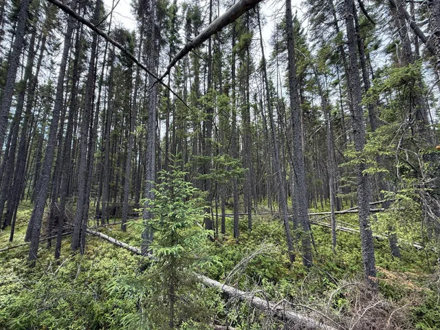 $37,000 | Tbd Tbd Arkola Road, Cotton, MN 55724